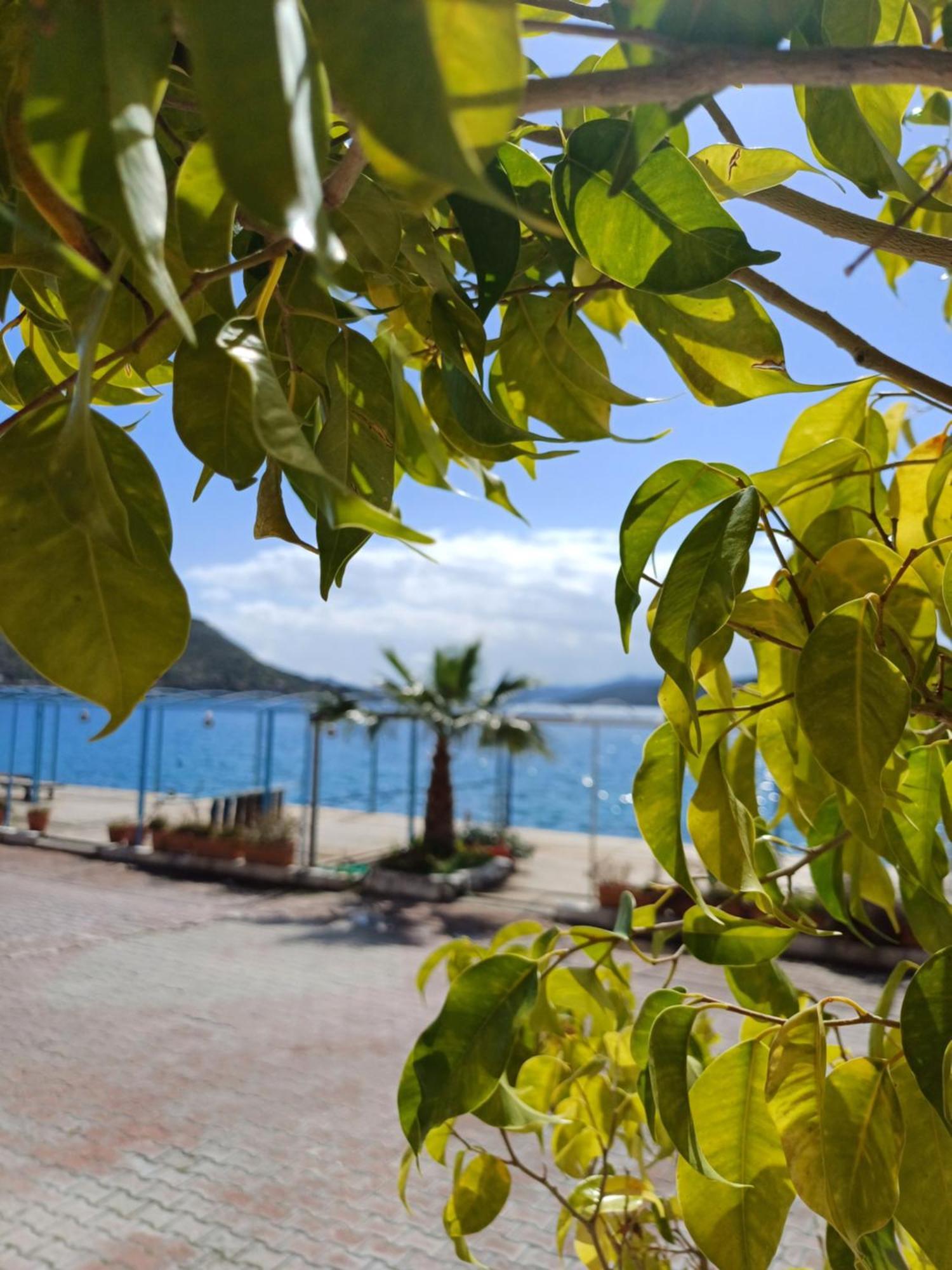 Yazici Otel Bozburun مرمريس المظهر الخارجي الصورة